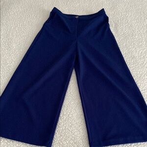 Good Luck Gem Blue Wide Leg Cropped Pants